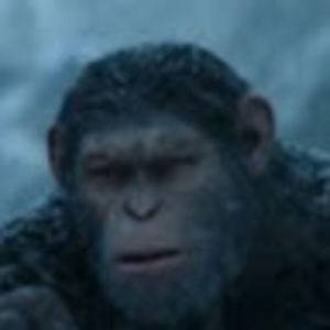 Meet your Posher, Andy